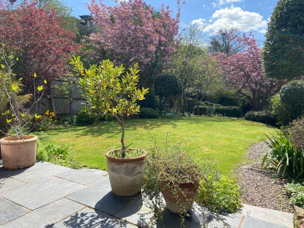 Clifton Garden Flat With Parking Apartment Bristol Bagian luar foto